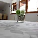 Apartments Kitzbuehel 公寓 *