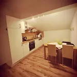 公寓 Apartments Kitzbuehel 基茨比厄尔